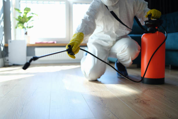 Reliable Odor Removal contractor in Howard, WI by Trauma Clean Pros
